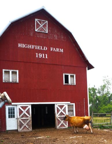 Farm view at Highfield Farm Creamery, W4848 Stateline Road in the Town of Linn