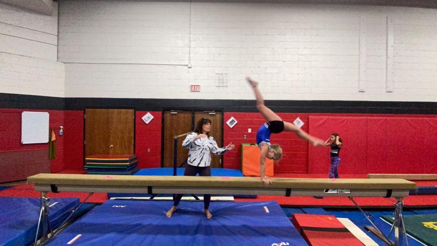 Arena Elementary remodel