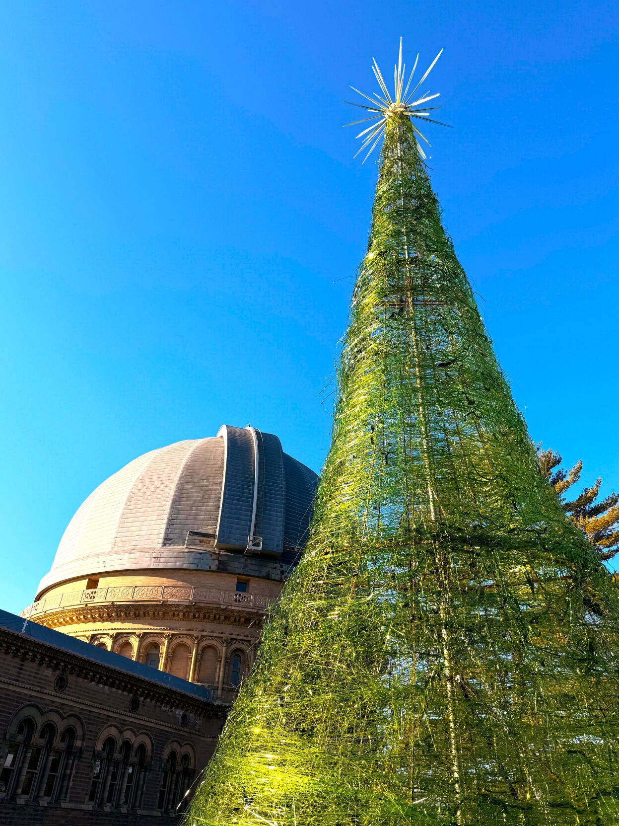 World's Tallest Glass Tree