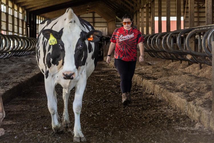 Photo Story: Wisconsin's young dairy farmers