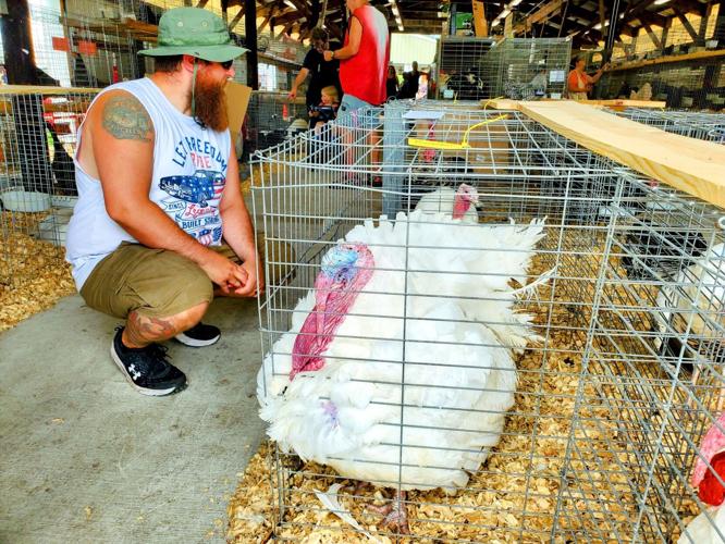 KENOSHA COUNTY FAIR