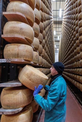 Extreme heat threatens Italy's Parmesan heartland