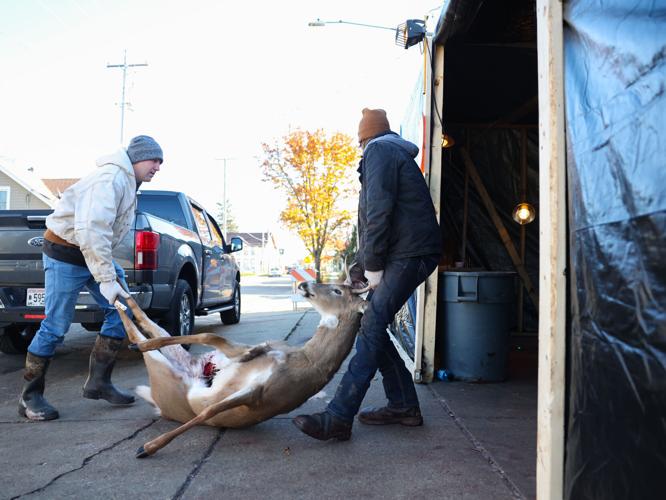 Deer Processing