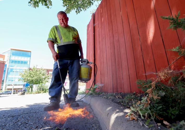 Hot-Weather-02-20260714-261654.JPGWIS0004086574.JPG