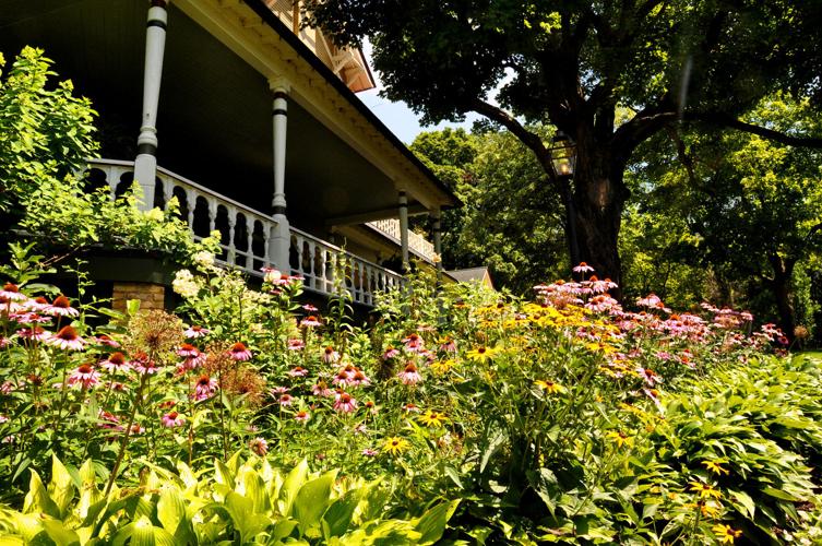 Black Point garden 1