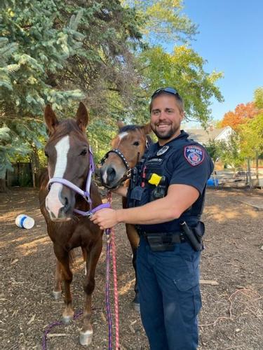 Andrew Gelden and two horses