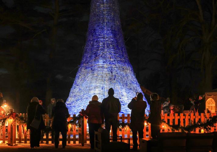 World's Tallest Glass Tree at night