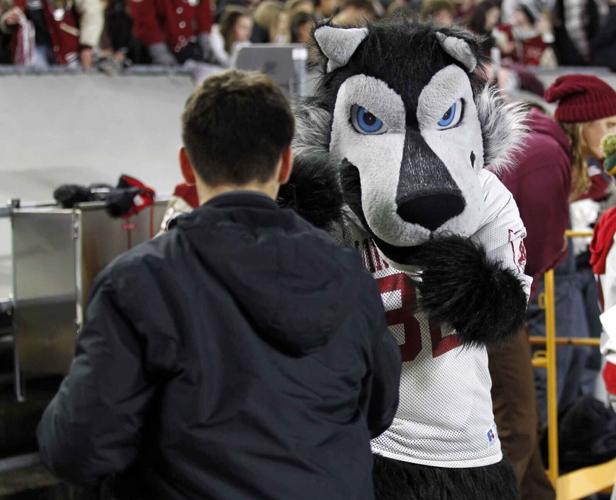 Willie the Wolf