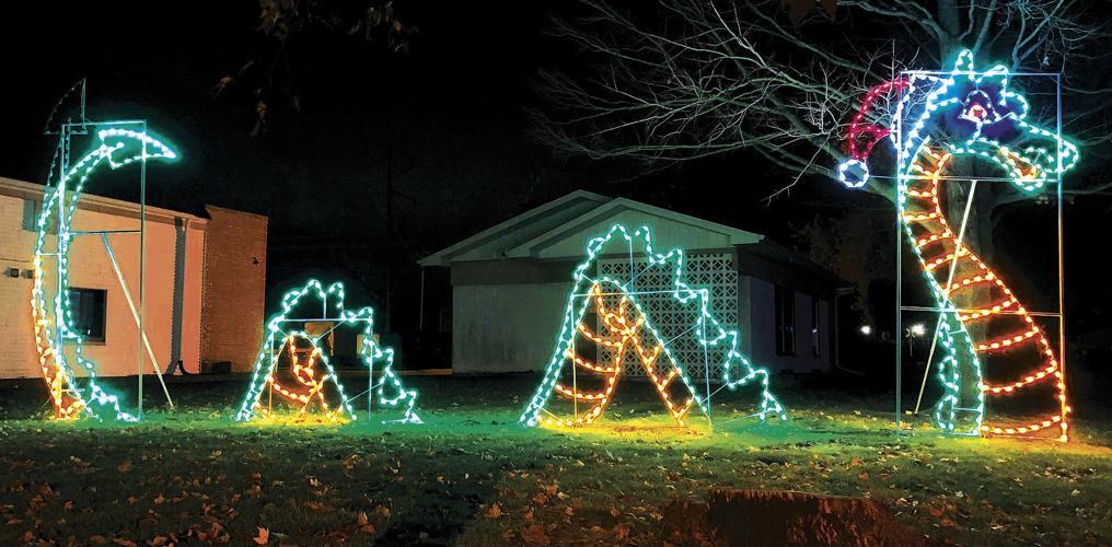 Wonderland of Lights