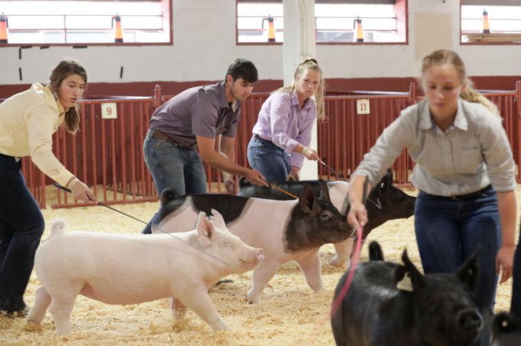Wisconsin State Fair