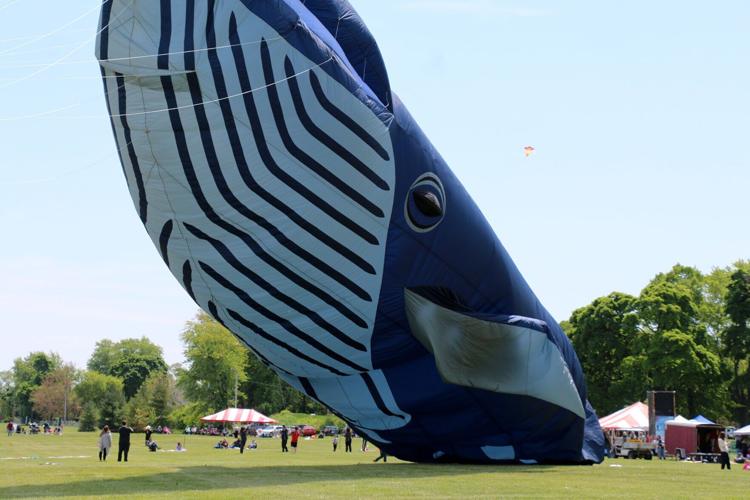 Outta Sight Kite Flight