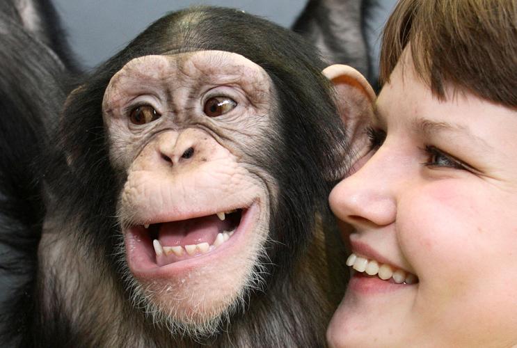 FILE PHOTO: An animal keeper interacts with a chimpanzee in the Royev Ruchey zoo in the Siberian city of Krasnoyarsk
