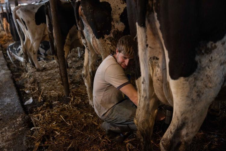 Photo Story: Wisconsin's young dairy farmers
