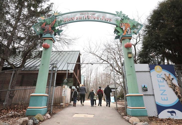 Zoo investigation