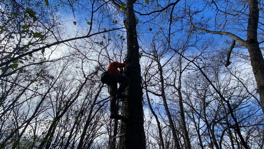 Traditional gun-deer season opens