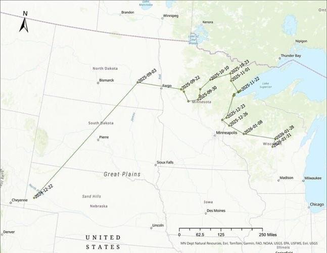 A map shows points along the path of a male cougar dispersing from Nebraska. The animal was found dead Feb. 9, 2026 on a railroad track in the Town of Friendship, Wis.