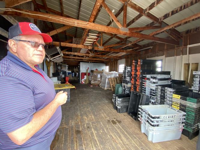 Red Cliff Fish Company