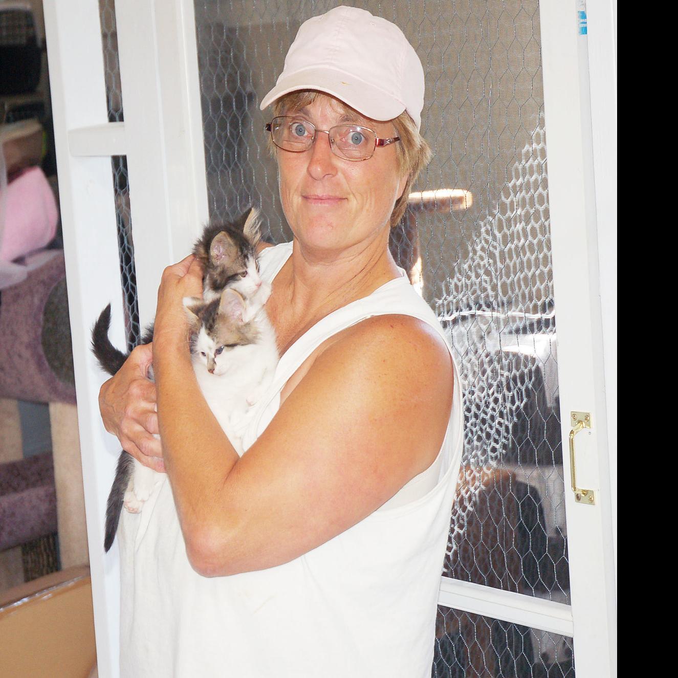 Cat Rescue A Home For All Geneva Lake West News Lakegenevanews Net