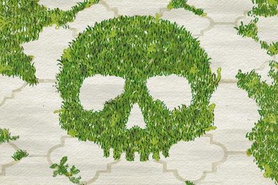 Weeds, whacked: 7 ways to kill weeds from your driveway and sidewalks