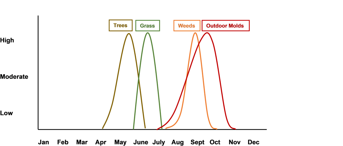 Web chart