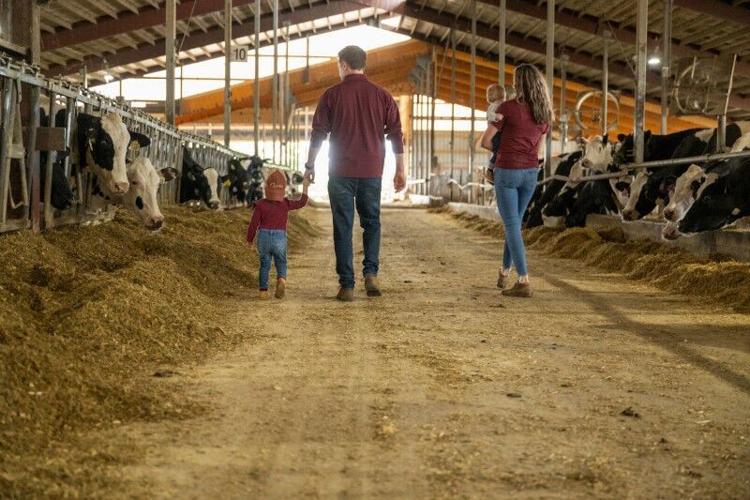 Family owned dairy farms