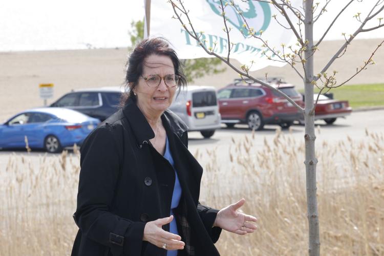 Arbor Day tree planting