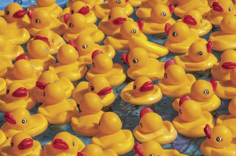Plastic ducks