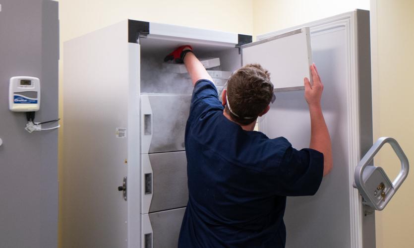 vaccine in freezer