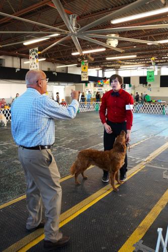 Walworth County Fair 2023 Dog Obedience and Showmanship judging