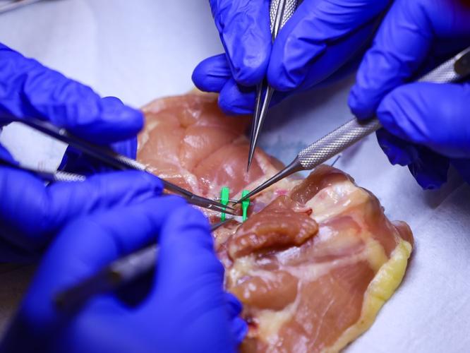 Ukrainian surgeons visit UW-Madison for microsurgery training