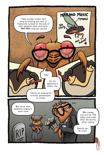 cicadapocalypse-sample13.jpg