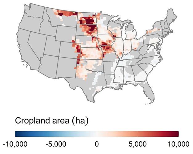 Change in cropland, 2008-2016
