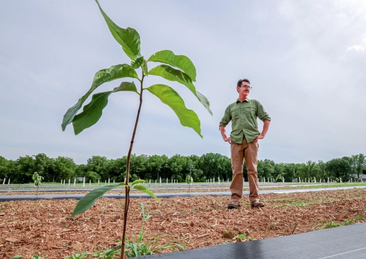 First-Generation-Farm-01-20260710-259560.JPGWIS0004086840.JPG