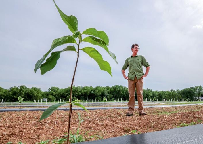 First-Generation-Farm-01-20260710-259560.JPGWIS0004086840.JPG