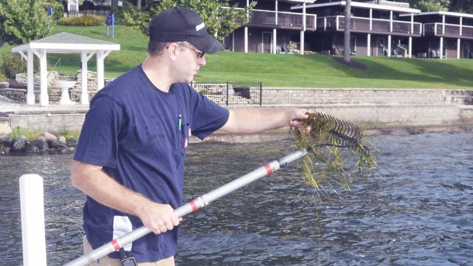 Starry stonewort battle could switch to hand-to-hand combat - Lake Geneva Regional News