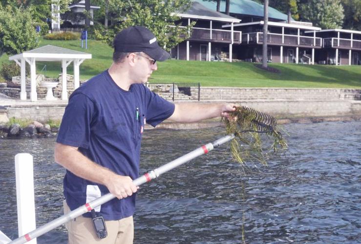 DNR guy looking for starry stonewort