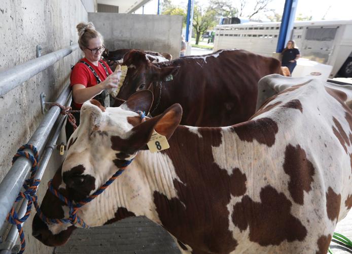 World Dairy Expo