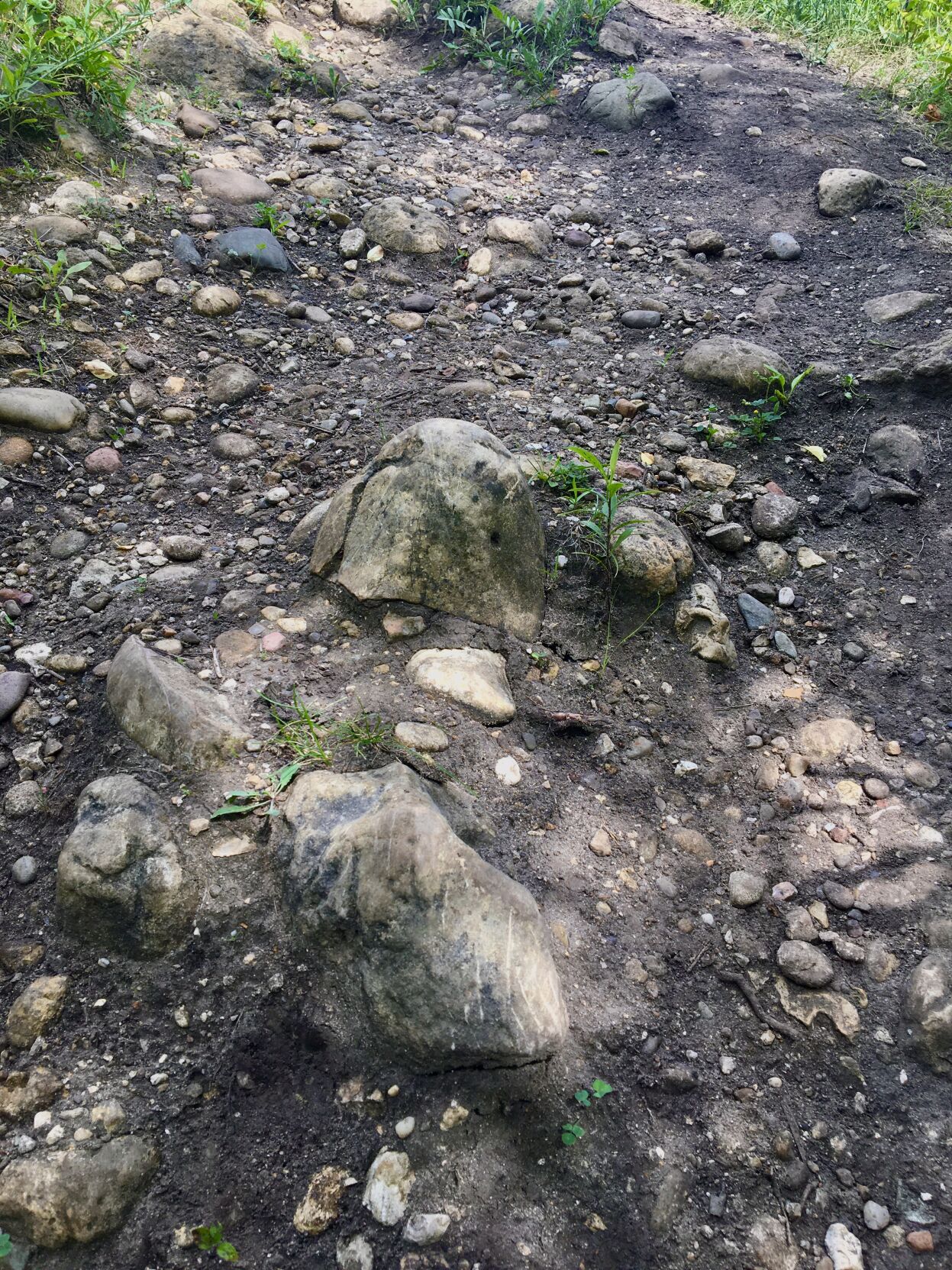 Glacial deposits on Ice Age National Scenic Trail