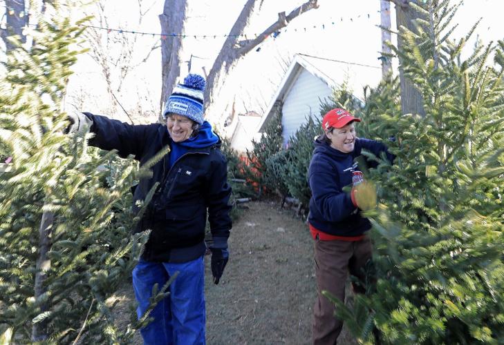 Christmas Trees