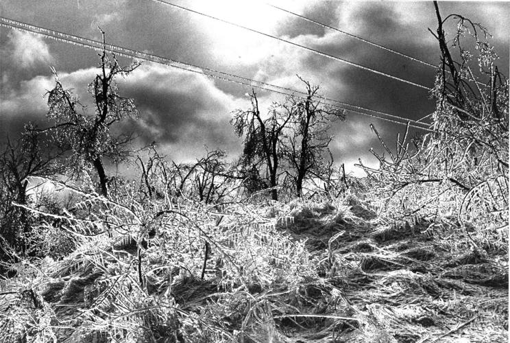 March 1976 ice storm devastation