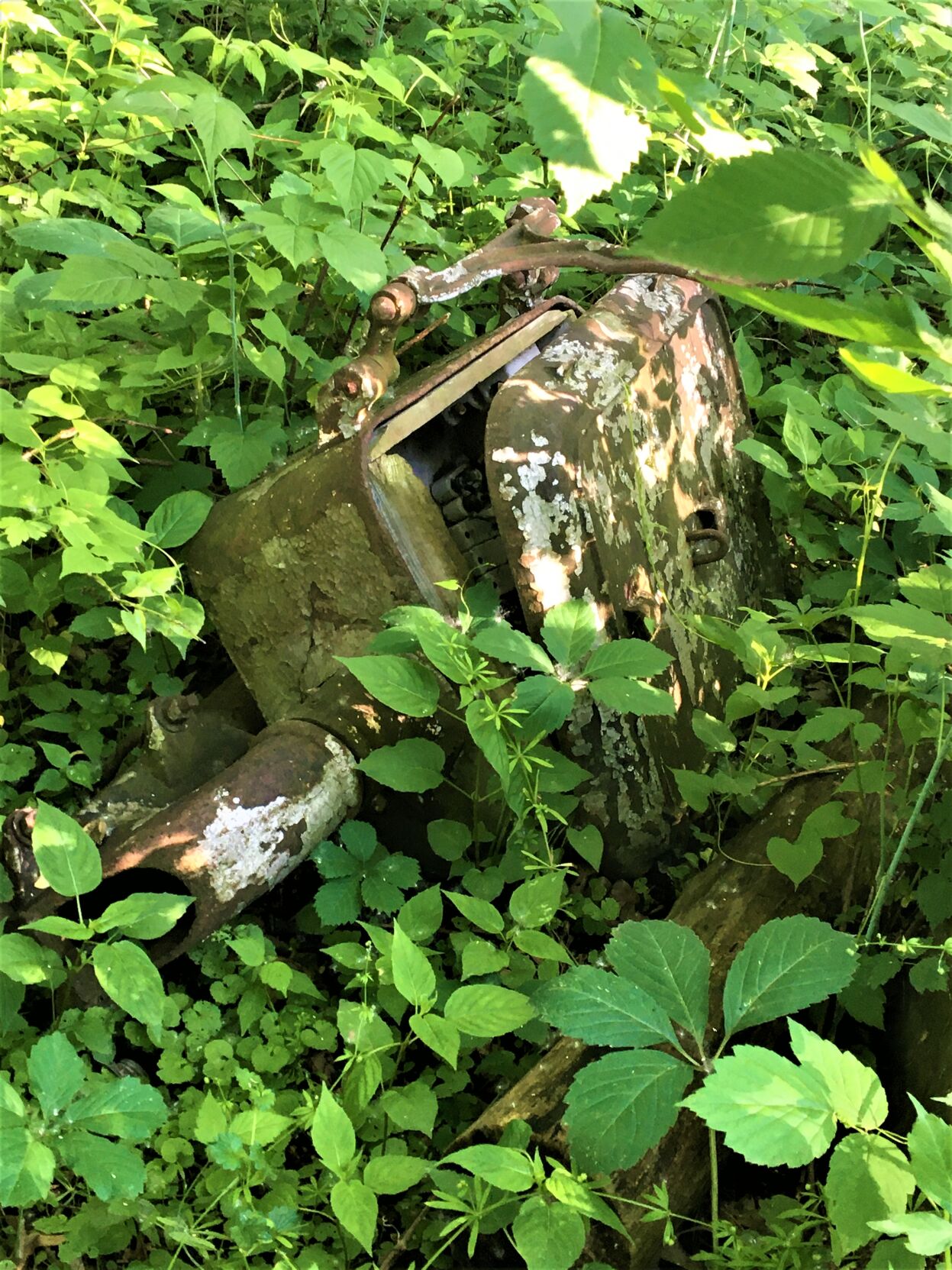 Abandoned Milwaukee Road signal control box hidden in undergrowth along the Pelishek-Tiffany Nature Trail