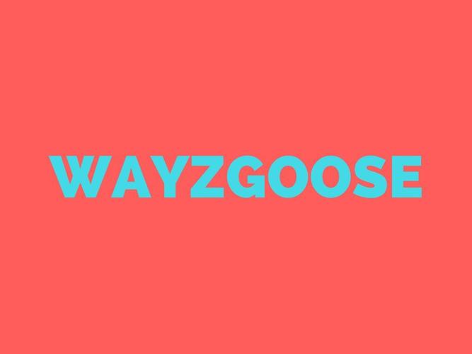 WAYZGOOSE