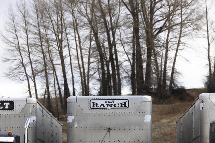 Galt Ranch
