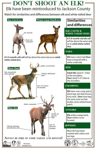 Elk versus deer