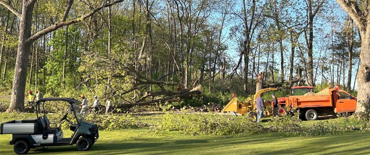 Restoring Brighton Dale Links after storm damage