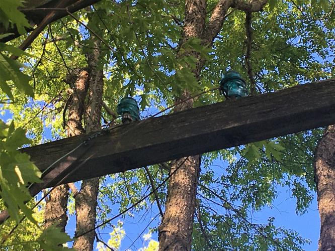 Telegraph pole with enduring wires and glass insulators along the Pelishek-Tiffany Nature Trail