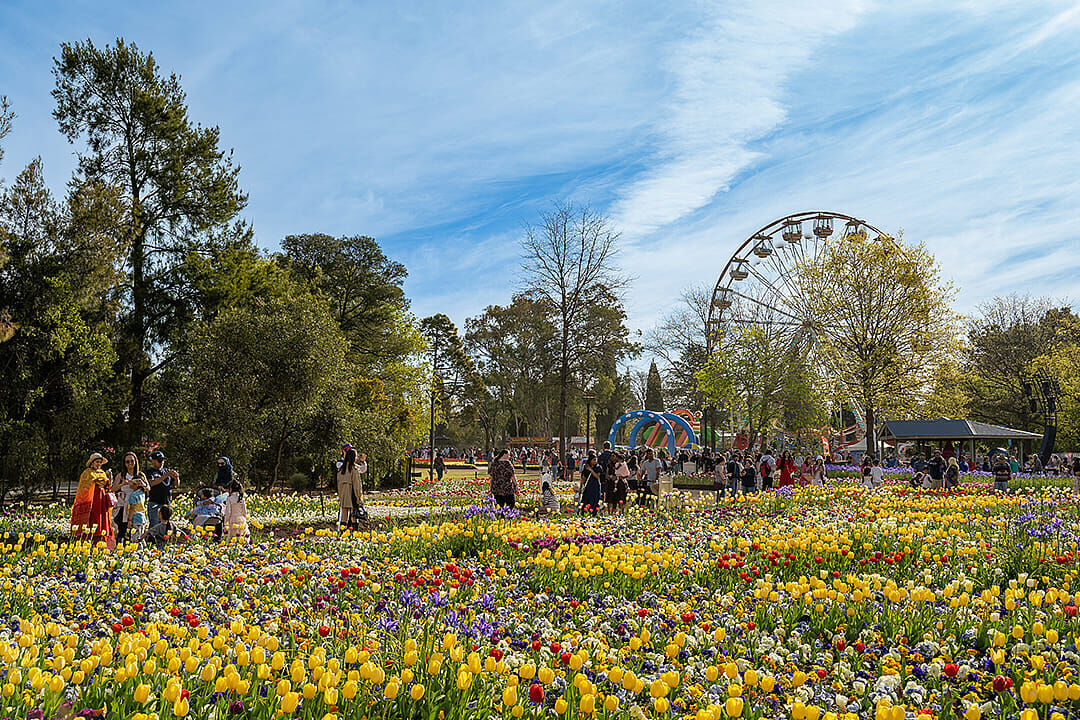 11 facts Americans might not know about Australia's capital