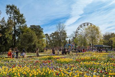11 facts Americans might not know about Australia's capital