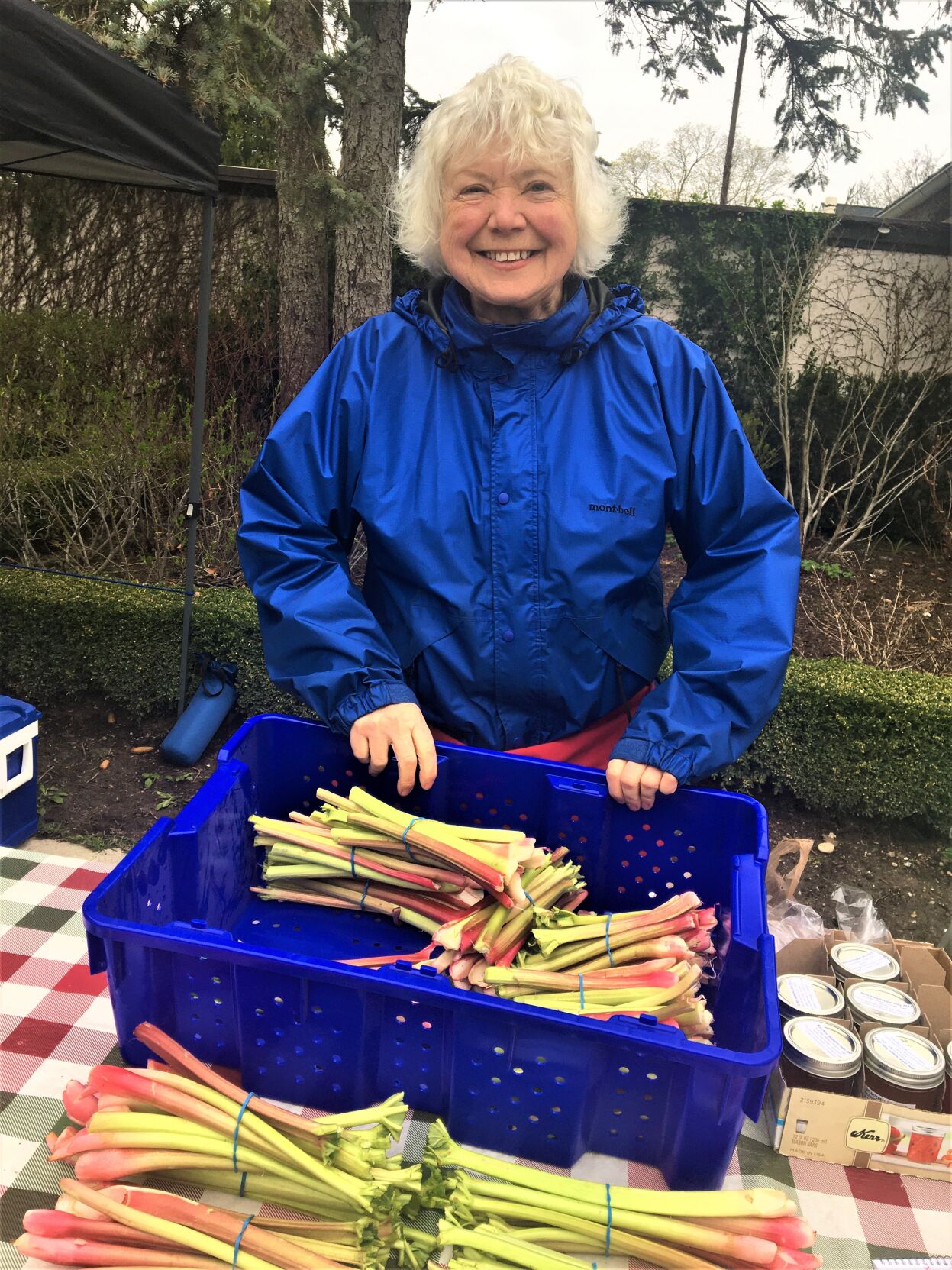 Lake Geneva Farmers Market vendor Darlene Considine