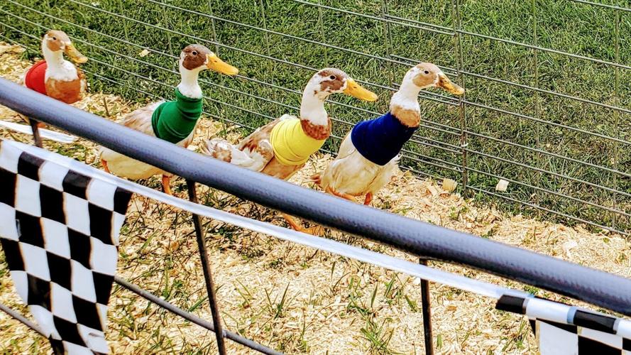 KENOSHA COUNTY FAIR 2025